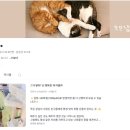톡톡기획