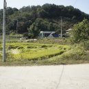 오금2리 이미지