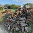 하회세계탈박물관 | 가을나들이 유네스코 세계유산 하회 마을 하회세계탈박물관 하회네컷 방문 솔직후기 2탄 (주차+입장료)