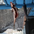 임하목화식당 이미지