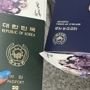 제가 8-9월에 뭘 했는지 궁금하실까요?