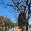 서해대로94번길 이미지