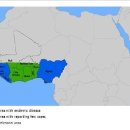 김병규동물병원 | 라싸열을 아시나요?…치명률 낮지만, 공기로도 전파/연합뉴스2016-03-27