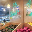 퀘스트하우스 이미지