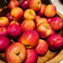 그랜드팰리스호텔익산 | 마카오 그랜드리스보아팰리스호텔 조식 메뉴/후기 깨끗하고 신선함