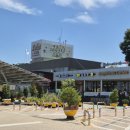 천안호두(부산) 이미지