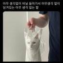 광주관광호텔 이미지