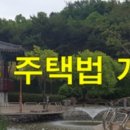 더 포레스트 이미지