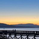 한민국제화학(주) | 교환학생 살아남기 week 05&amp;06 (10.17-10.30)