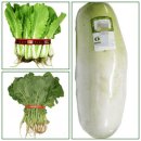 열무김치 황금 레시피 이미지