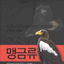 새로나온 새도감 - < 한국의 맹금류 > 이미지