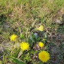 철길풍선 이미지