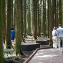 서귀포복권 파이낸셜뉴스
