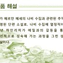 2) 소설을 읽는 보람 공작나방 이미지