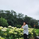 보라목장 이미지