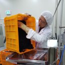 묵산농장 이미지