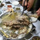 아중가 이미지
