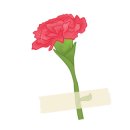 리리유치원 이미지