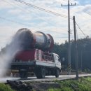 영암오리 이미지