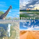 아프리카 | 아프리카 신혼여행 아모트래블 후기 탄자니아 남아공 나미비아 보츠나와