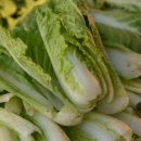 문화추어탕 이미지