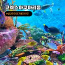 공주깃털 | 서울 아이와 가볼만한 곳 씨라이프 코엑스 아쿠아리움 할인 주차 해양탐험선 이용 후기