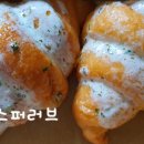 더쿡(The Cook)