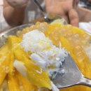 2628 | [대전 유성] 성심당 DCC 카페 빙수 (솔직 후기, 웨이팅, 주문, 꿀팁)