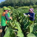 가용경로당 이미지