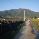 백신1리 이미지