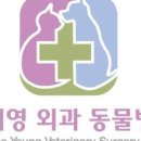 안녕동물병원 이미지