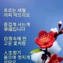 자재병원 이미지