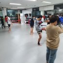 산호체육관 네이버블로그
