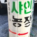 세아농장 이미지