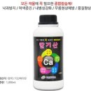 플라워왕왕이 이뱅 오늘밤 9시....3분 이미지