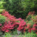 조경농장 이미지