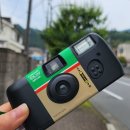 담올 이미지