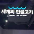 탄금종합상사 | 충주 가볼만한 곳 충주아쿠아리움 오픈 방문 후기