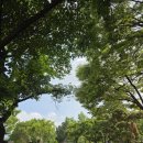 청량리2 이미지