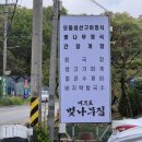 장남 벚나무 네이버블로그