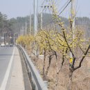 와촌파출소 이미지