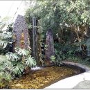 내고향 순천 이미지