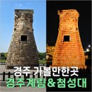 경주 여행 코스 경주계림 첨성대 주간 야경 방문 후기 미디어아트 시간