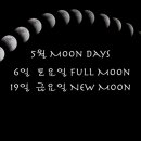 아쉬탕가요가진주