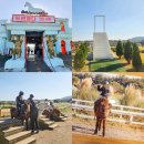 남성목장 | 제주 목장카페 드르쿰다 표선 승마체험 카트 아이와 가볼만한곳