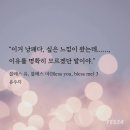 블레스.유