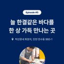 박선장네 이미지