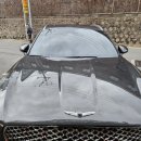 굿파비스 이미지