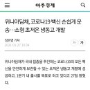 ​위니아딤채, 코로나19 백신 손쉽게 운송…소형 초저온 냉동고 개발 이미지