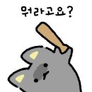 당근하나 이미지
